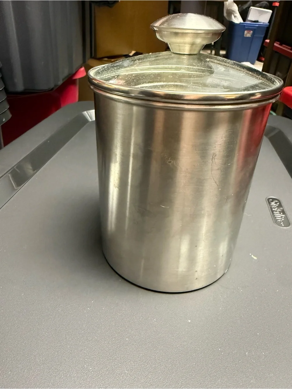 Gigi Stainless Steel Canister with Glass Lid - Silver B2